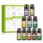0kvm10ml Essential Oils for Humidifier Diffuser Aromatic Candles Soap Massage Oil 10pcs Kit Pure Natural Tea.jpg