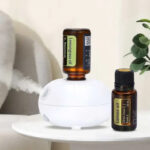 mini pure oil diffuser aromatherapy mach main 0 cleanup.png