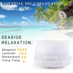 0kvm10ml Essential Oils for Humidifier Diffuser Aromatic Candles Soap Massage Oil 10pcs Kit Pure Natural Tea.jpg