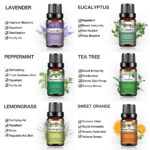 tXzKPHATOIL 6pcs Gift Box Pure Plant Essential Oils Set for Humidifier Spa Lavender Eucalyptus Peppermint Tea.jpg