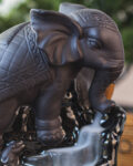 Sacred elephant1.jpg