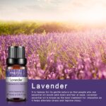 0kvm10ml Essential Oils for Humidifier Diffuser Aromatic Candles Soap Massage Oil 10pcs Kit Pure Natural Tea.jpg