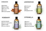 Pure Plant Extract 100ml Essential Oils.png