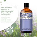 Pure Plant Extract 100ml Essential Oils.png