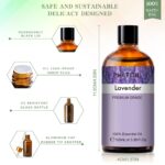 Pure Plant Extract 100ml Essential Oils.png