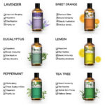 Pure Plant Extract 100ml Essential Oils.png