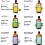 Pure Plant Extract 100ml Essential Oils.png