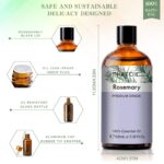 Pure Plant Extract 100ml Essential Oils.png