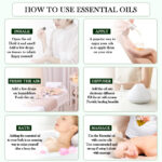 Pure Plant Extract 100ml Essential Oils.png