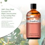 Pure Plant Extract 100ml Essential Oils.png