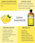 Pure Plant Extract 100ml Essential Oils.png