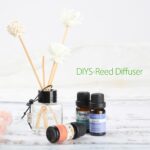 0kvm10ml Essential Oils for Humidifier Diffuser Aromatic Candles Soap Massage Oil 10pcs Kit Pure Natural Tea.jpg