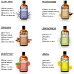 Pure Plant Extract 100ml Essential Oils.png