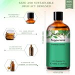 Pure Plant Extract 100ml Essential Oils.png