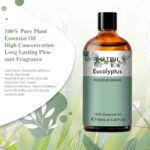 Pure Plant Extract 100ml Essential Oils.png