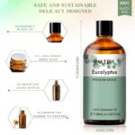 Pure Plant Extract 100ml Essential Oils.png