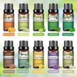 0kvm10ml Essential Oils for Humidifier Diffuser Aromatic Candles Soap Massage Oil 10pcs Kit Pure Natural Tea.jpg