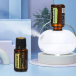 mini pure oil diffuser aromatherapy mach main 0 cleanup.png