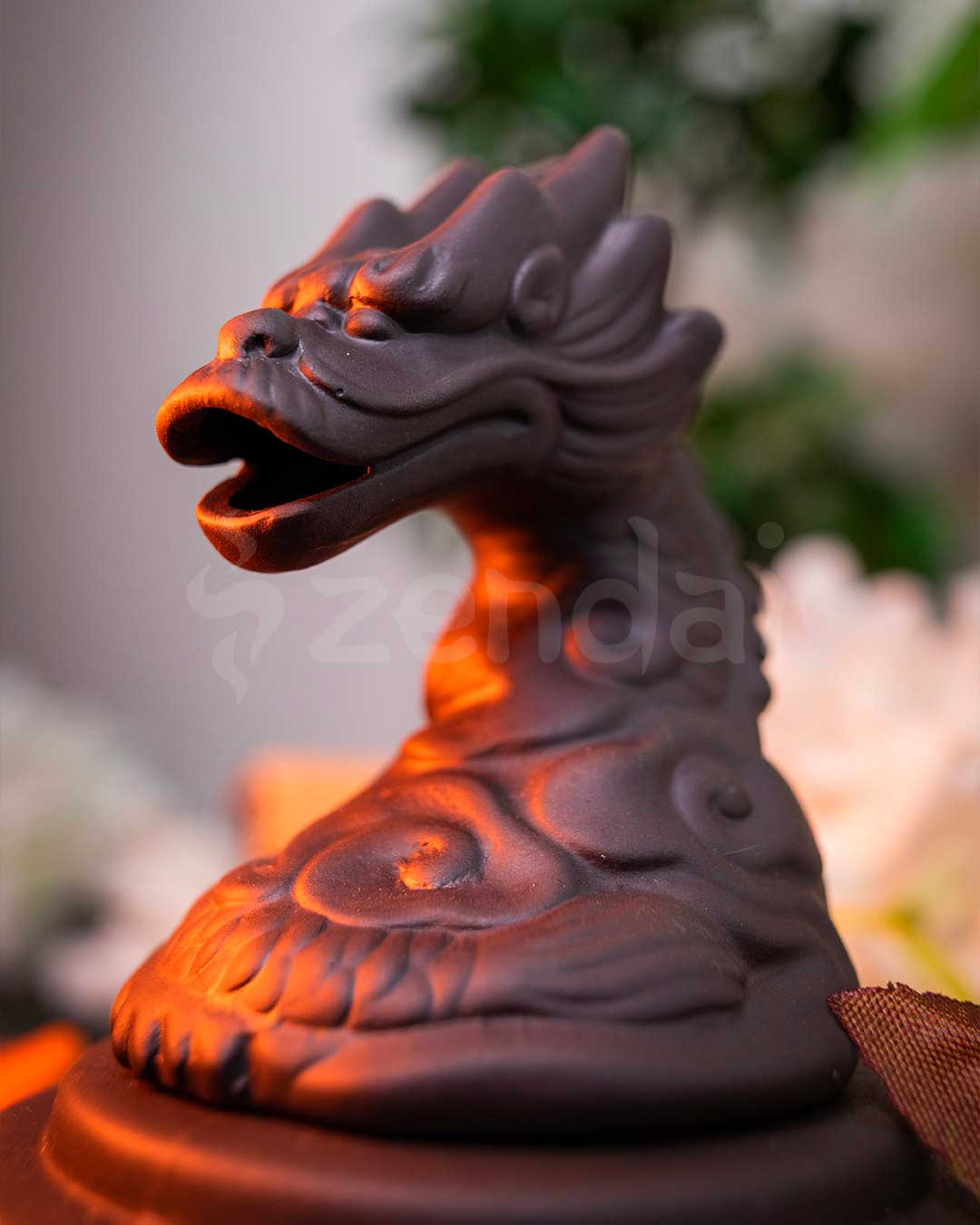 zbreathingdragon2.jpg zbreathingdragon2.jpg