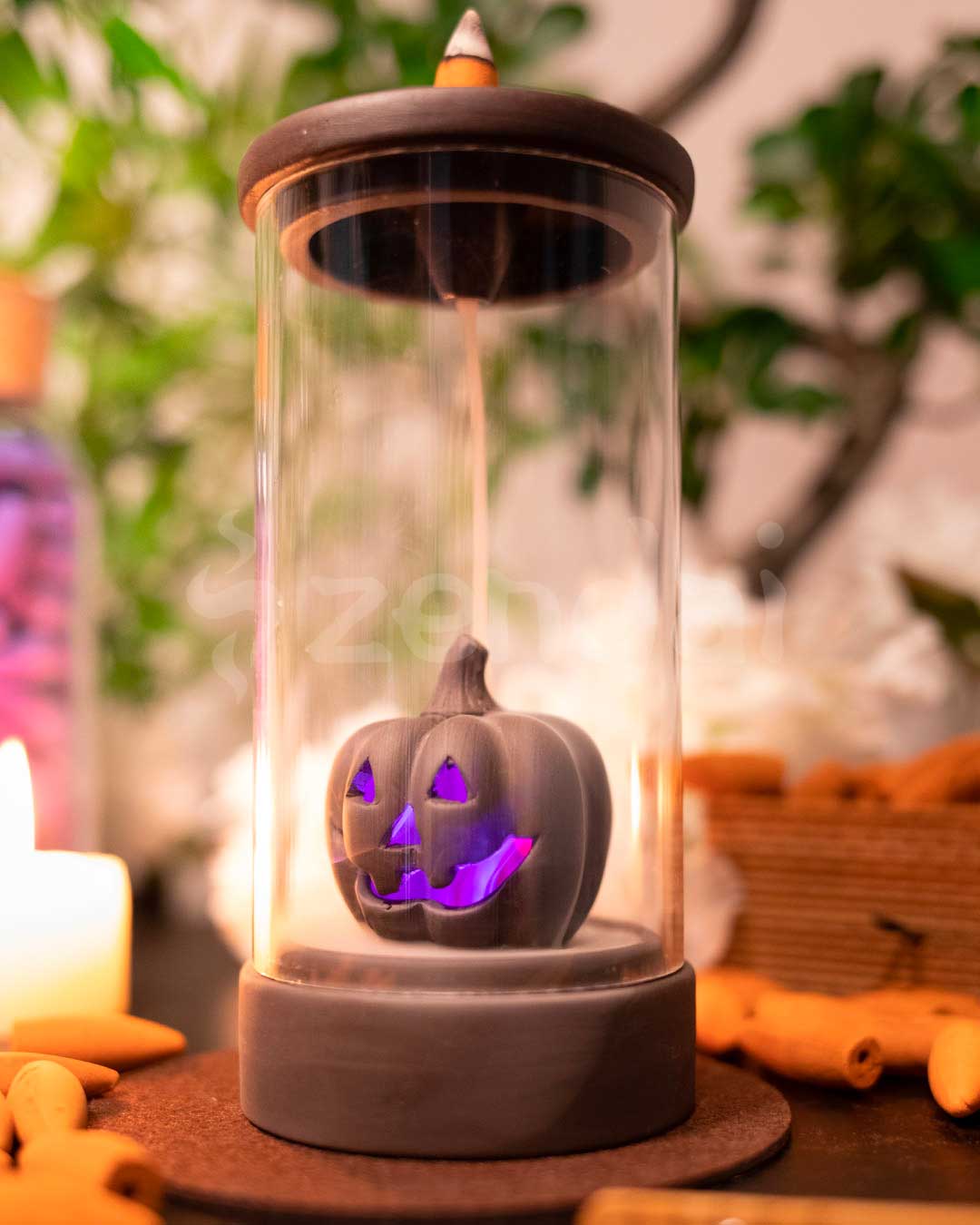 zpumpkin5.jpg zpumpkin5.jpg