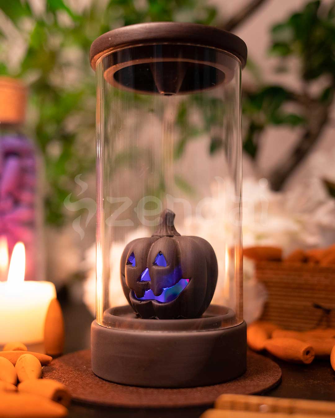 zpumpkin6.jpg zpumpkin6.jpg