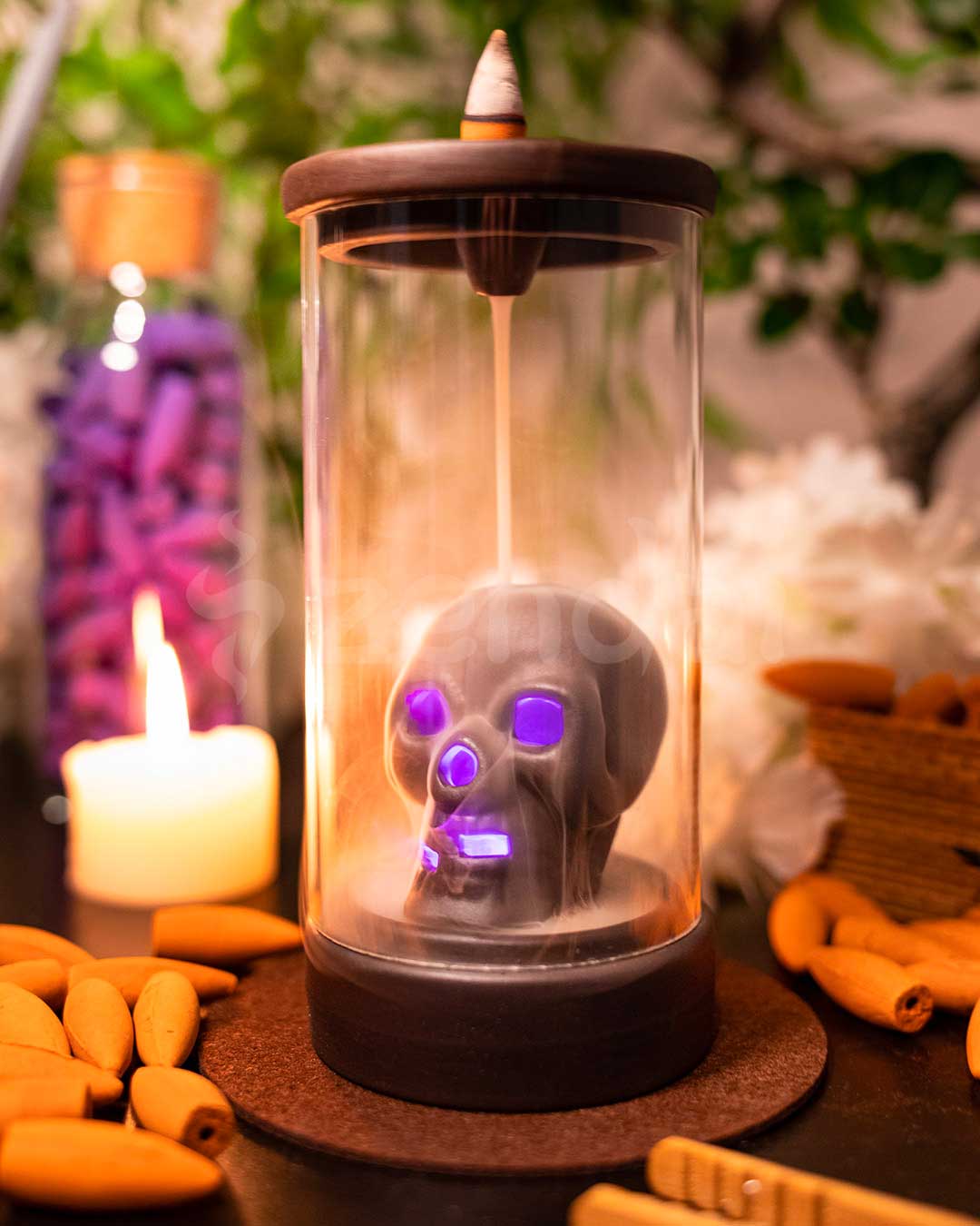 zskull6.jpg zskull6.jpg
