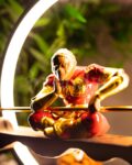 zwukong2.jpg